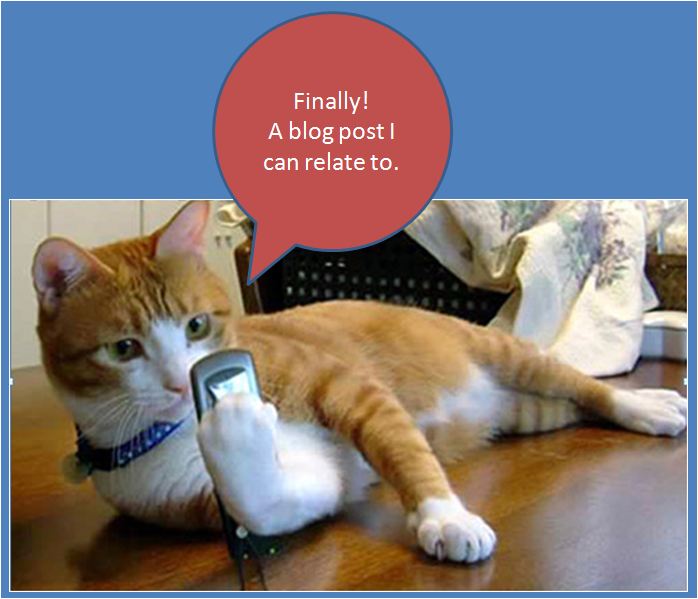 cellphone cat