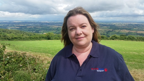 pet sitters ireland blogging success