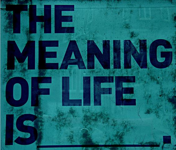 Image result for life of meaning
