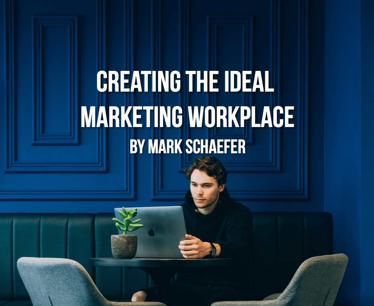 ideal marketing workplace