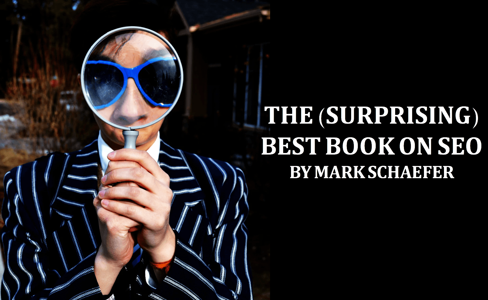 The best SEO book in the world? A surprising discovery. | Schaefer ...