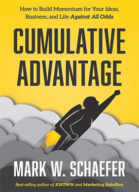 Cumulative Advantage - How to Build Momentum for Your Ideas, Business, and Life Against All Odds.